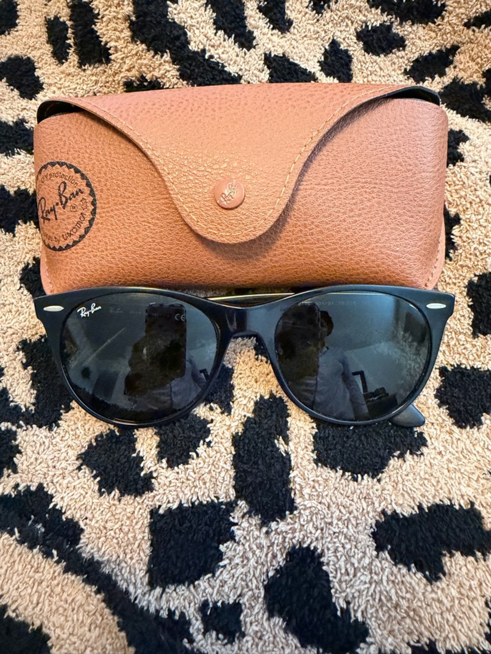 Ray-Ban Black Sunglasses with Brown Case